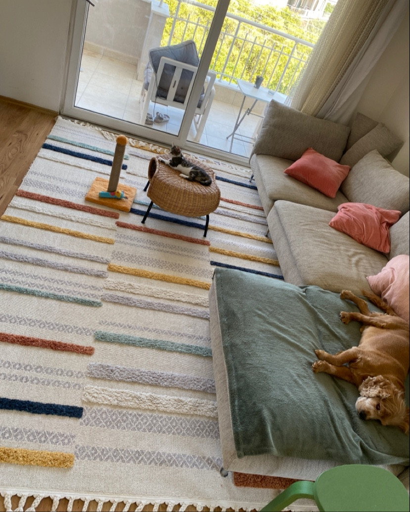 Samet Halı Yıkama – Fotoğraf 1