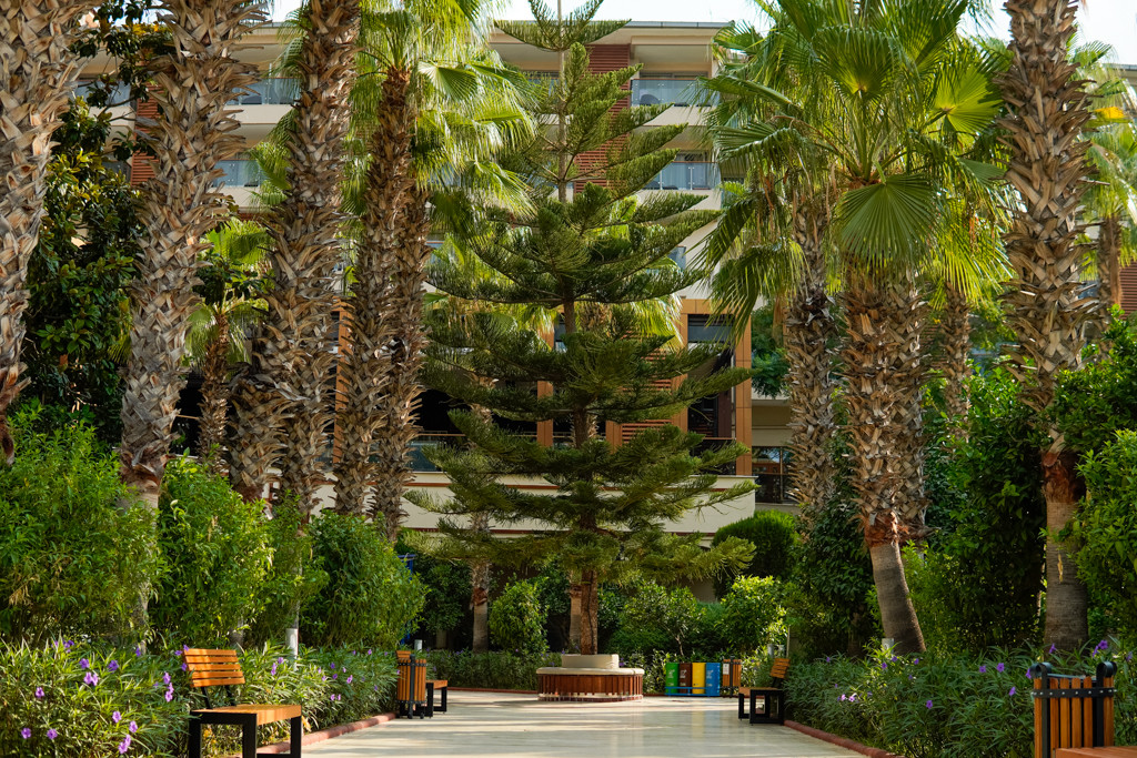 Selge Beach Resort – Fotoğraf 6