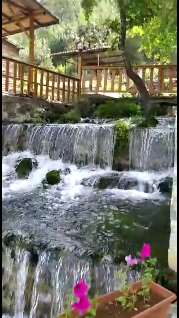 Selge Pansiyon – Fotoğraf 10