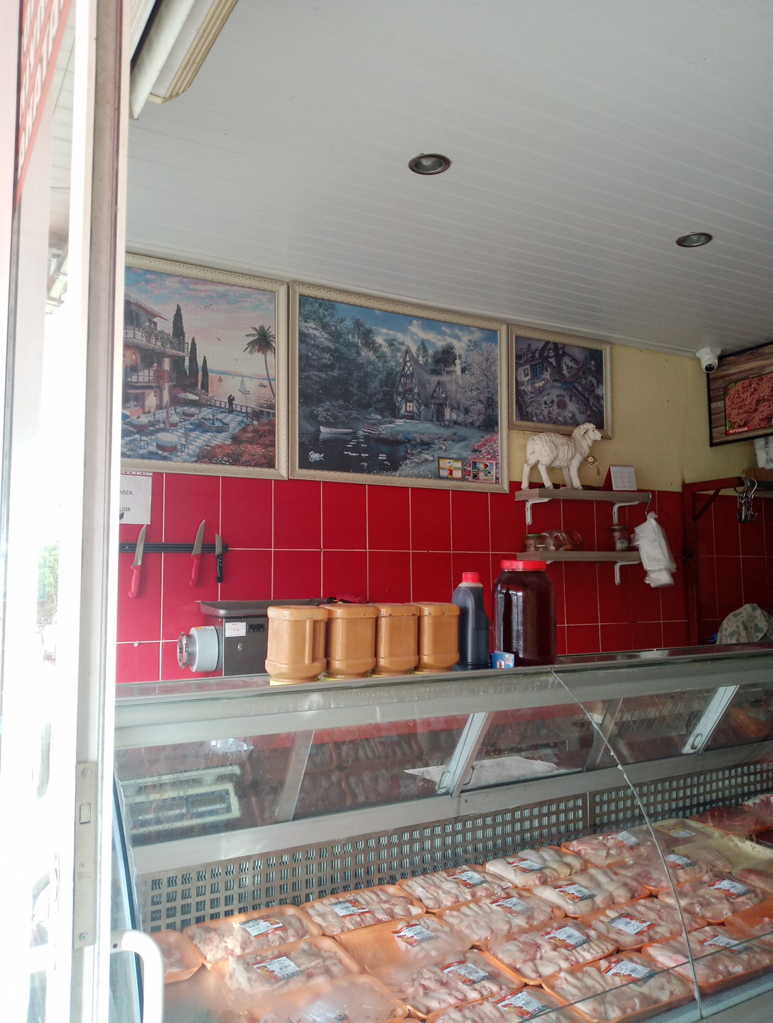 ŞEN KASAP – Fotoğraf 2