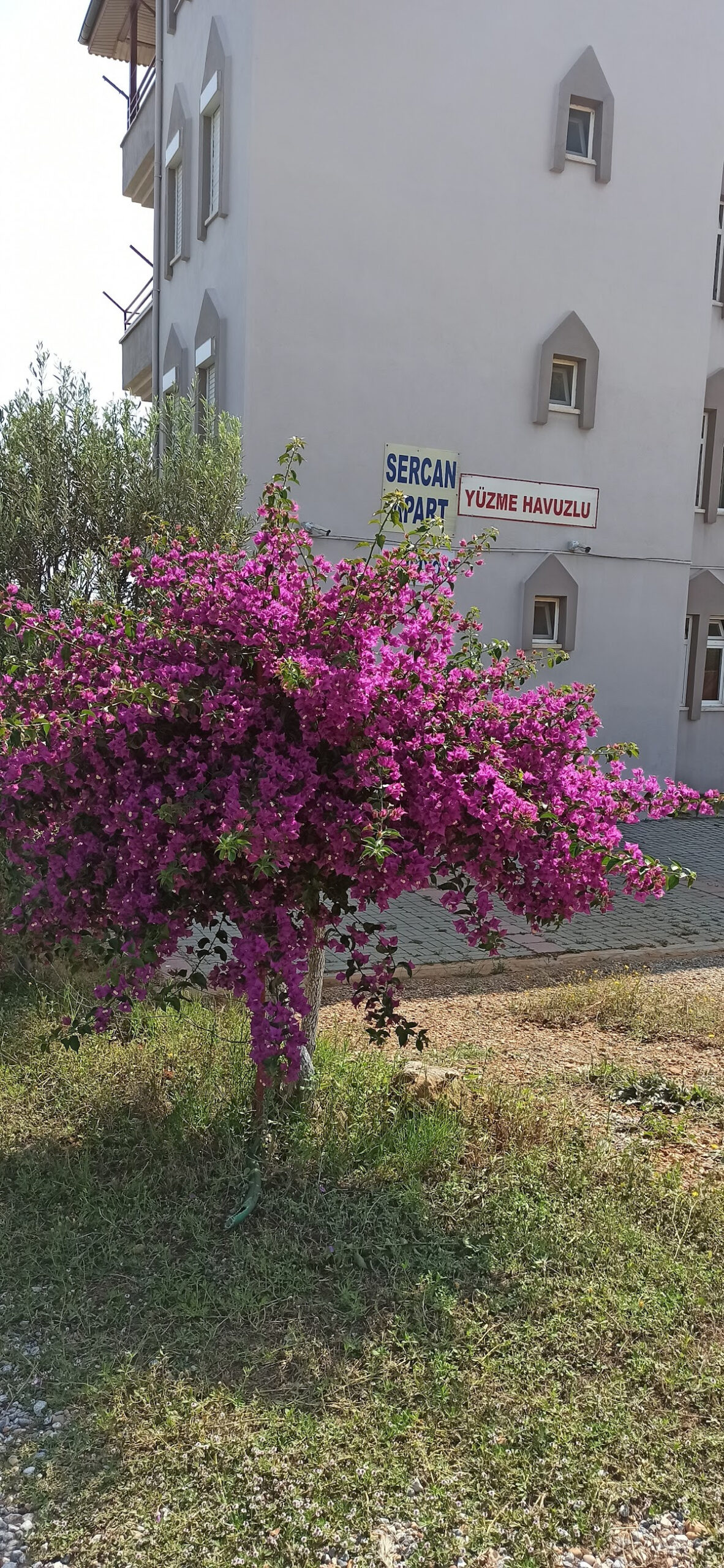 Sercan Apart Hotel – Fotoğraf 3
