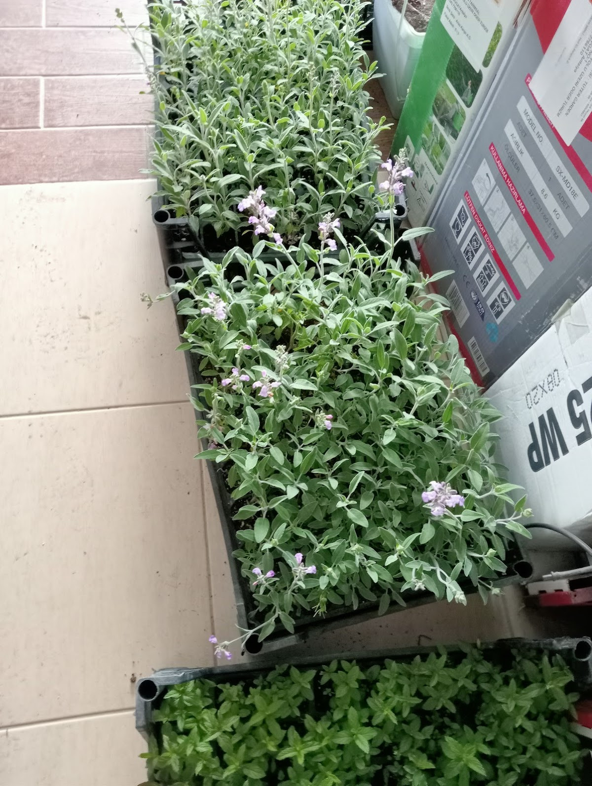 Serdar Kuru Temizleme – Fotoğraf 8