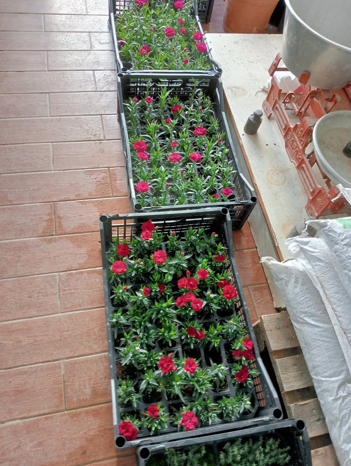 Serdar Kuru Temizleme – Fotoğraf 10