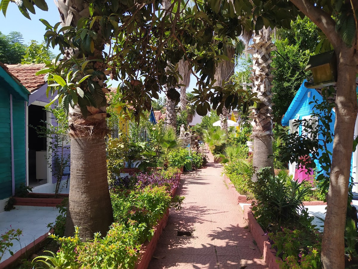 SİDE CUBA BEACH HOTEL – Fotoğraf 10