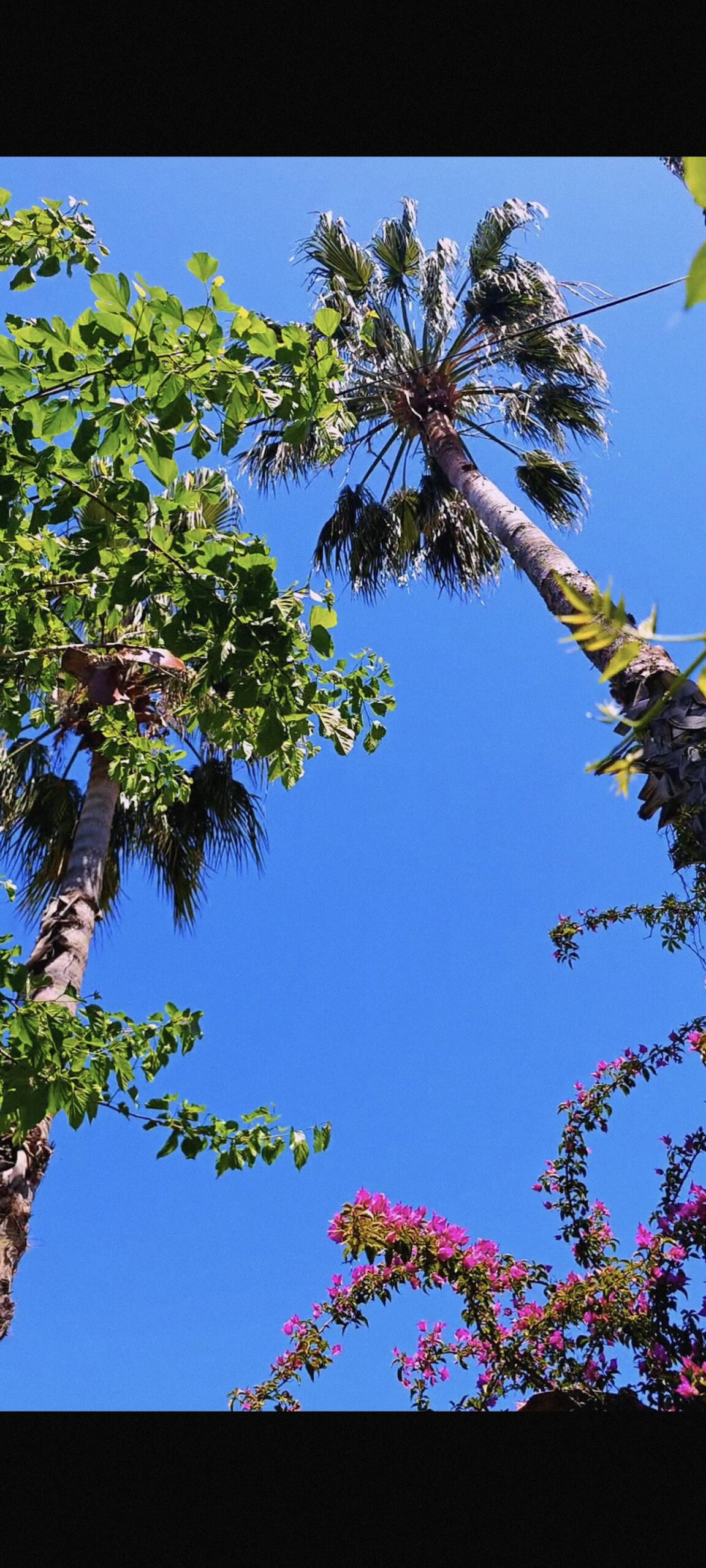 SİDE TUANA GARDEN HOME ( Denize yakın Doğa Oteli) – Fotoğraf 7