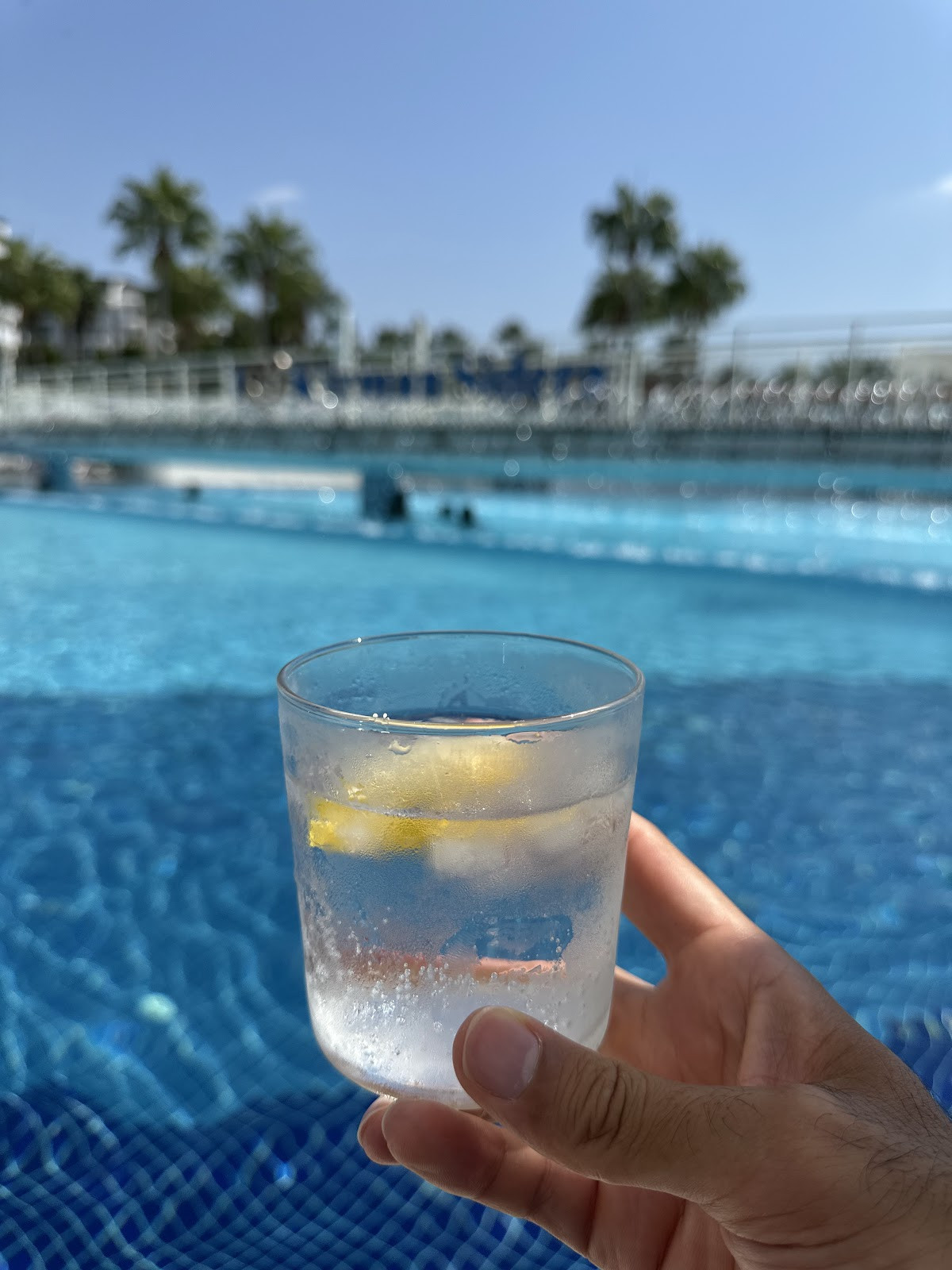 Sidera Kirman Premium – Fotoğraf 6