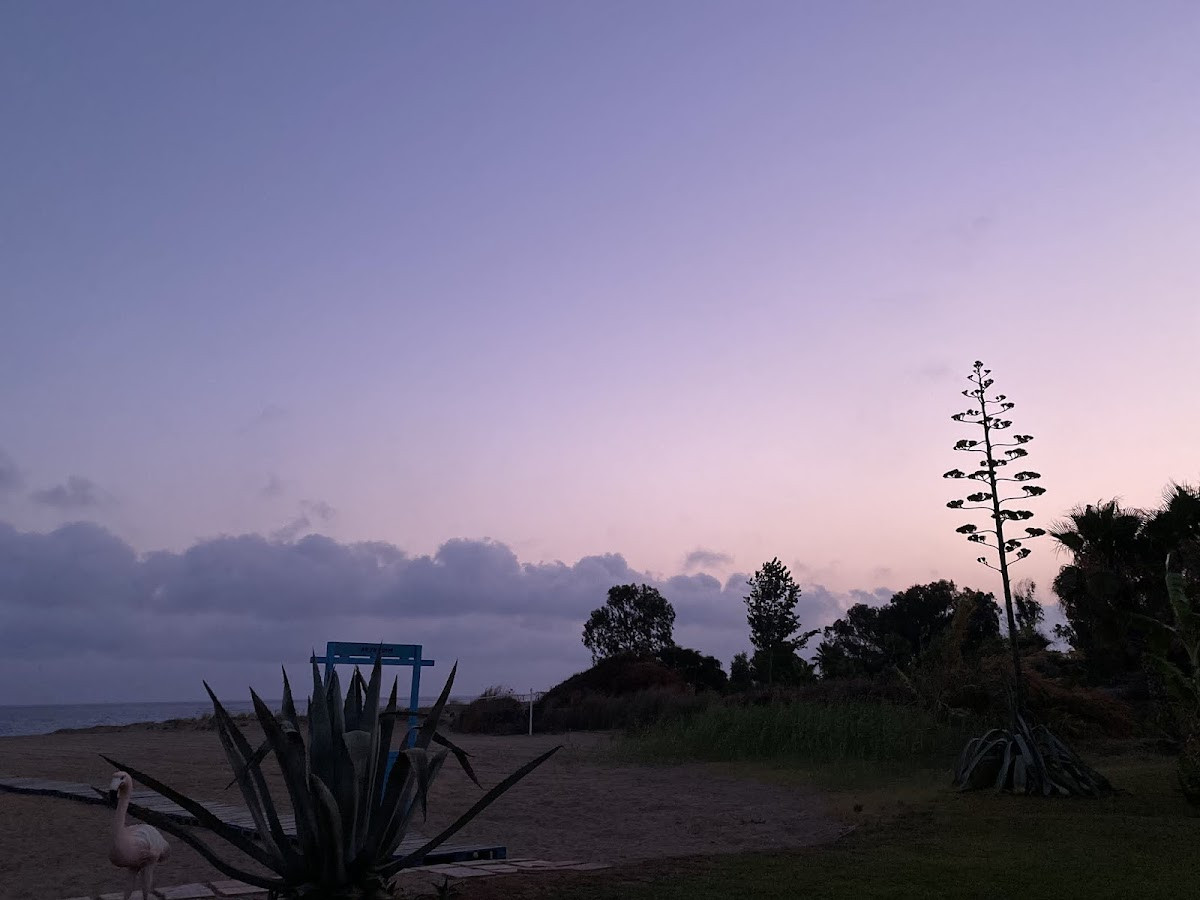 Skys Hotel – Fotoğraf 6