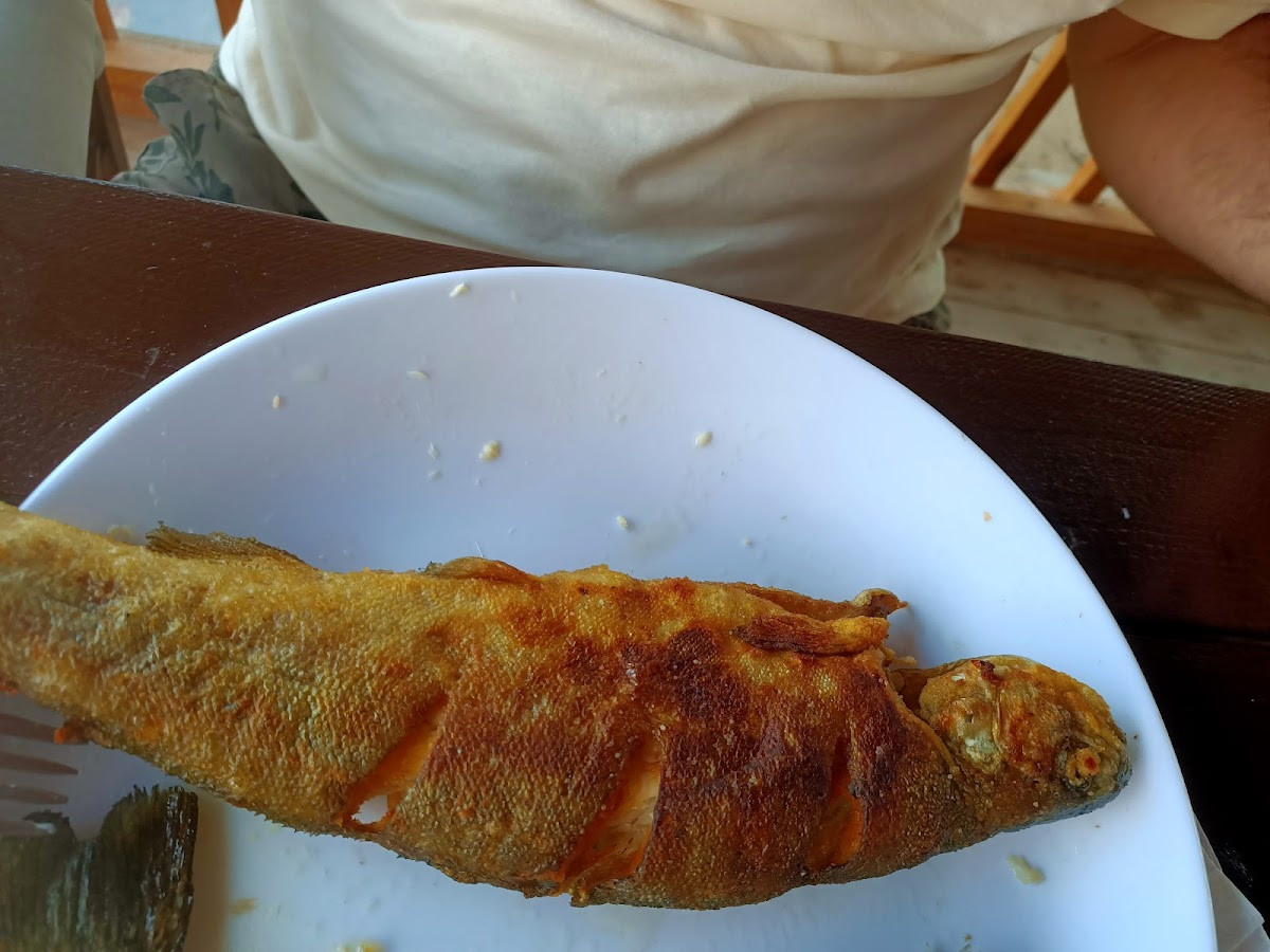 Sönmez Alabalık Restaurant – Fotoğraf 10