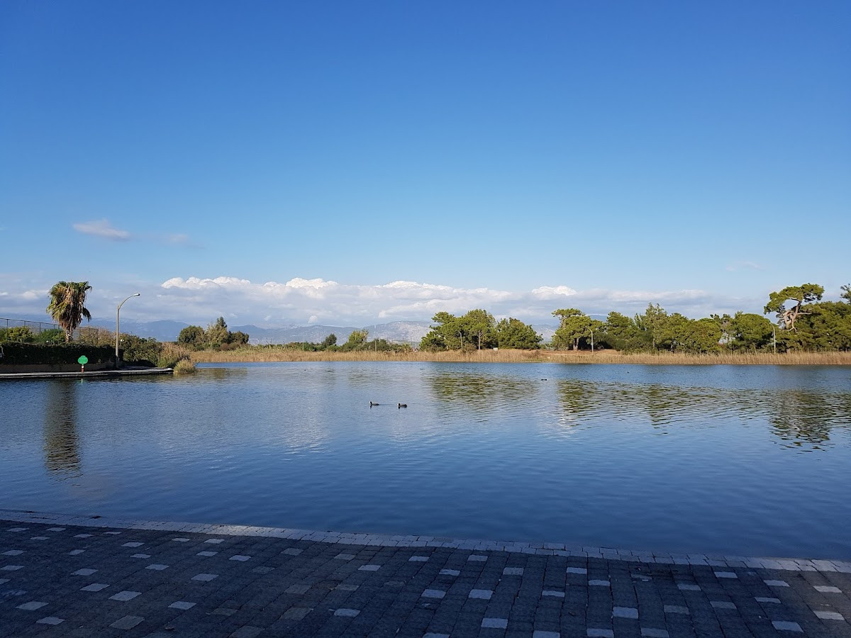 Sorgun Titreyengöl – Fotoğraf 5