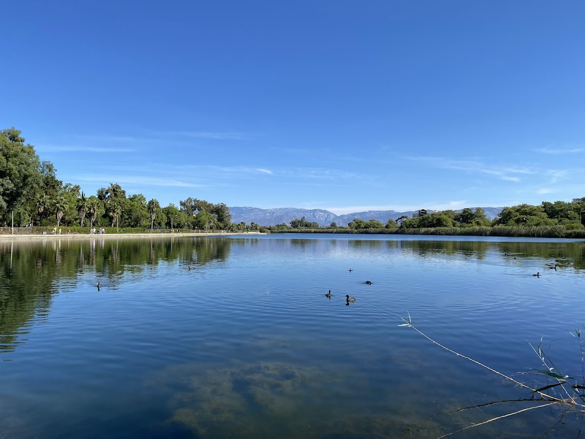 Sorgun Titreyengöl – Fotoğraf 3