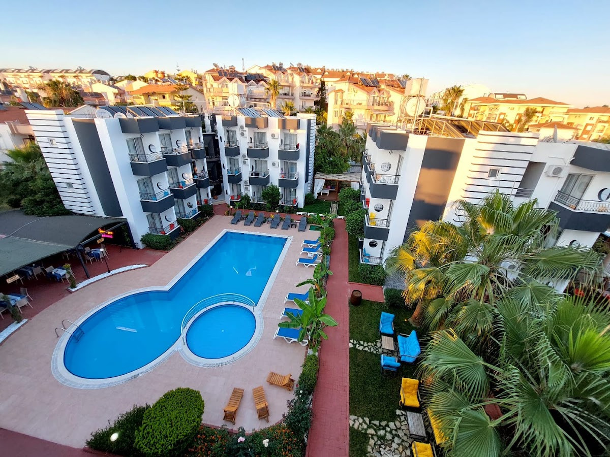 Summer Rose – Fotoğraf 5