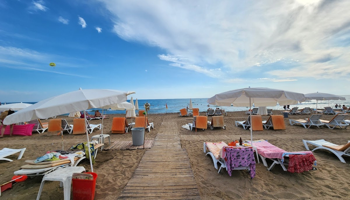 Summer Rose – Fotoğraf 10