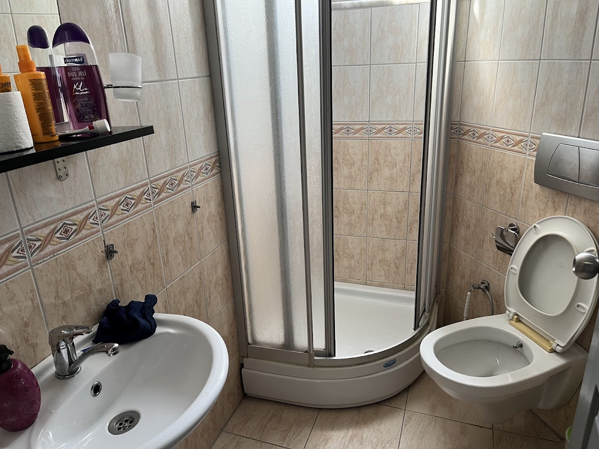 Summer Rose – Fotoğraf 4