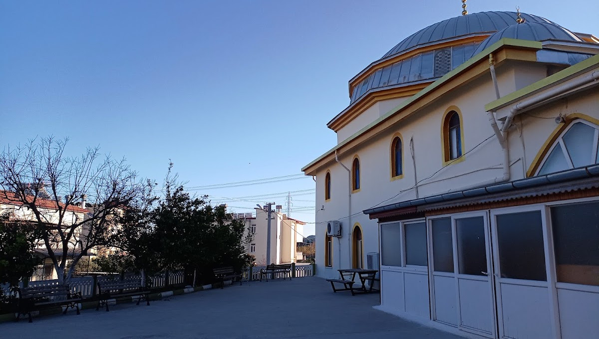 Taşağıl Aşağı Cami – Fotoğraf 8