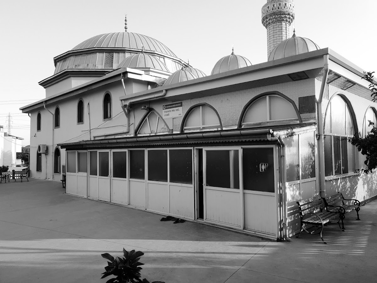 Taşağıl Aşağı Cami – Fotoğraf 6