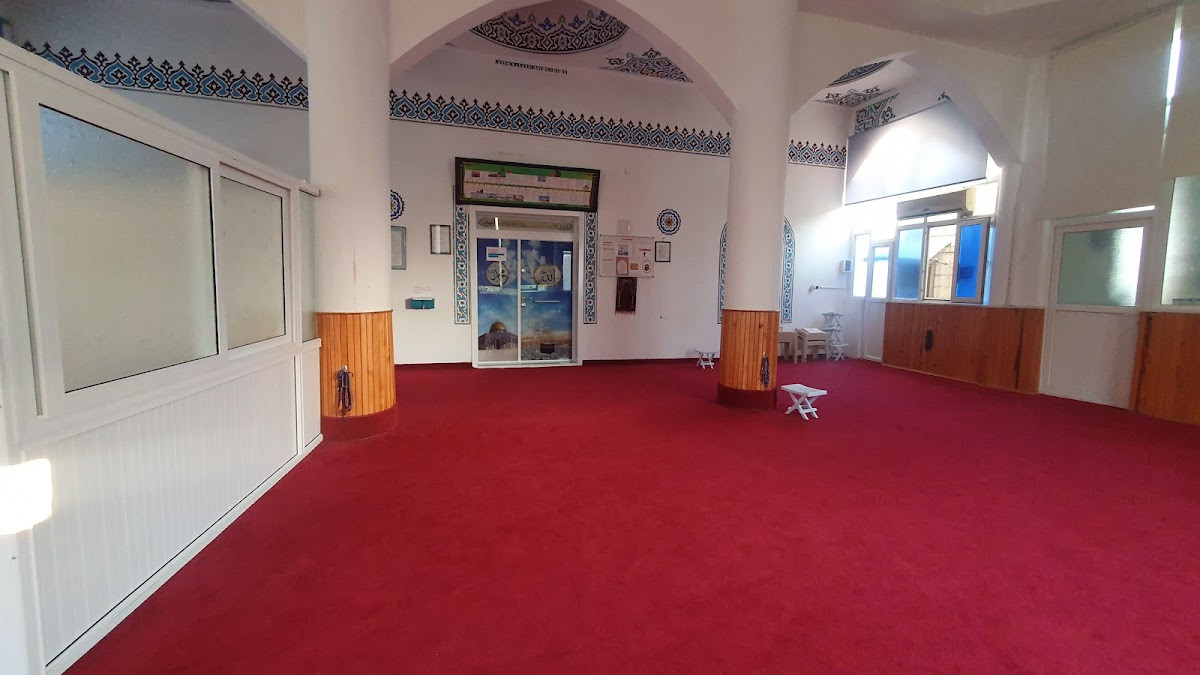 Taşağıl Aşağı Cami – Fotoğraf 2