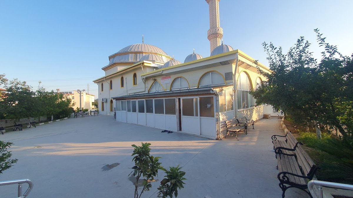 Taşağıl Aşağı Cami – Fotoğraf 7