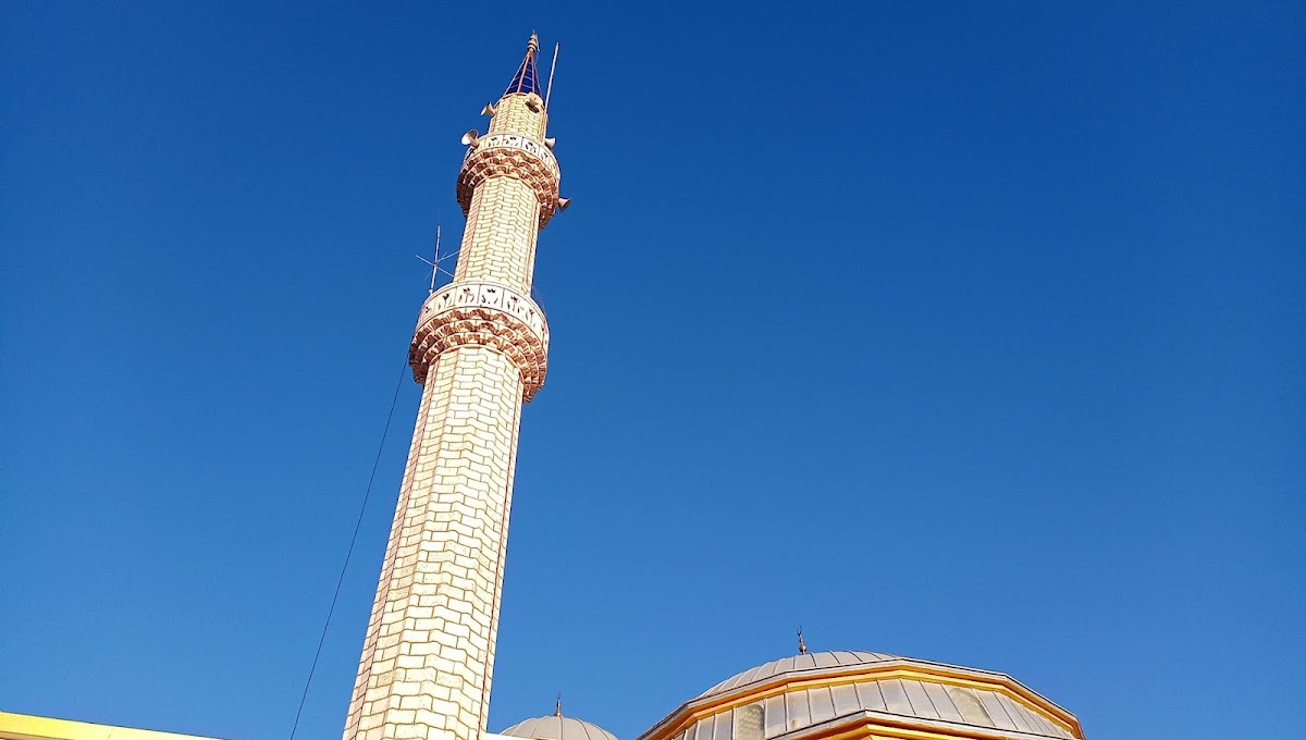 Taşağıl Aşağı Cami – Fotoğraf 5