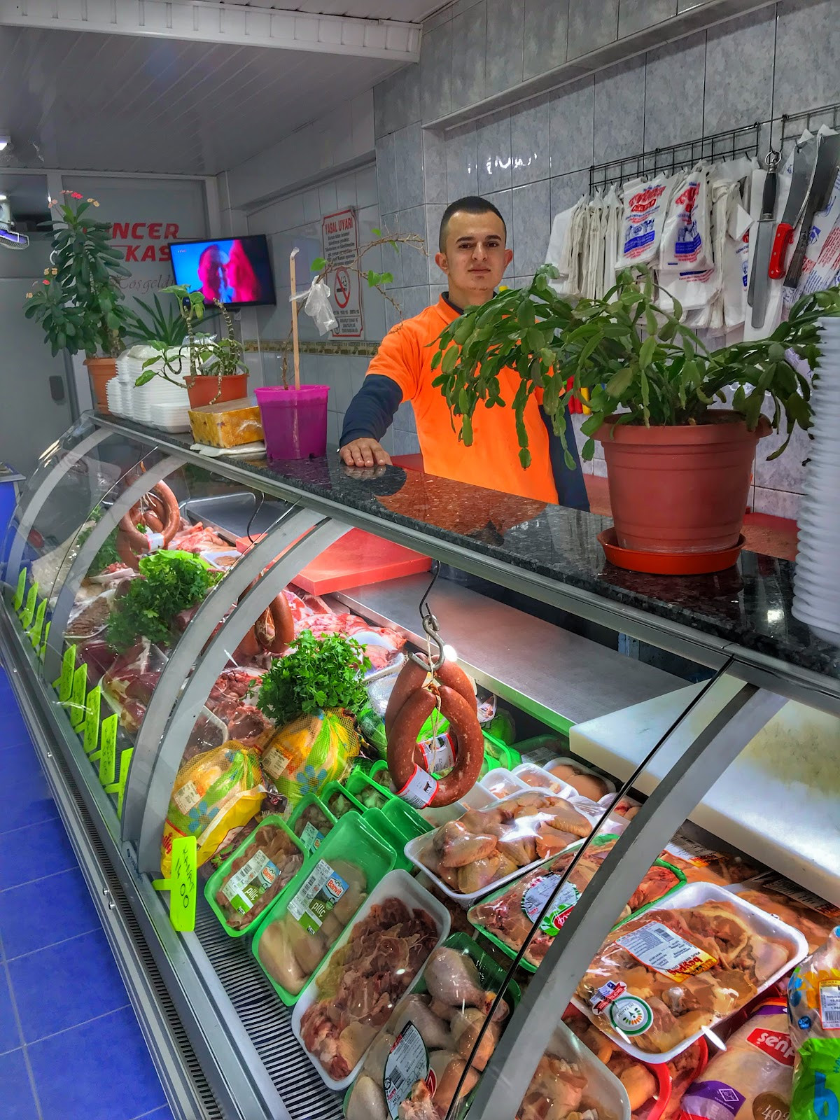 Tuncer Kasap – Fotoğraf 1