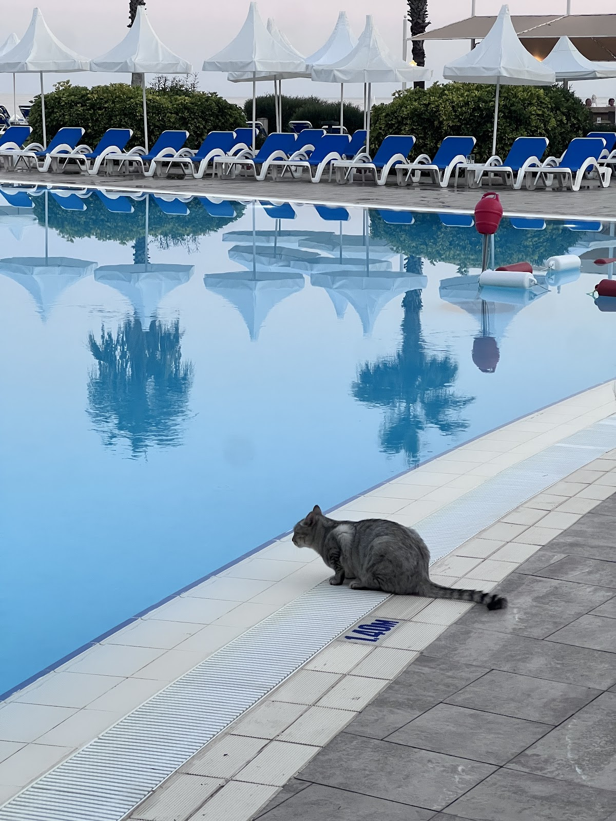 Turquoise Resort Hotel & SPA Türkiye, Sorgun, 07600 Manavgat/Antalya, Turecko – Fotoğraf 2