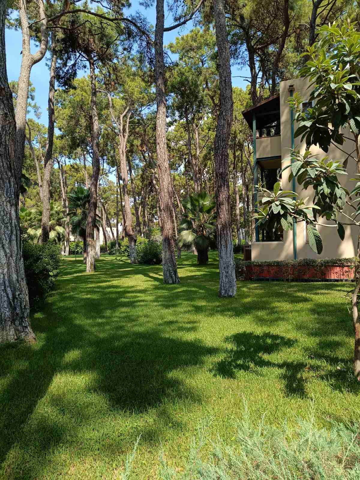 Turquoise Resort Hotel & SPA Türkiye, Sorgun, 07600 Manavgat/Antalya, Turecko – Fotoğraf 6