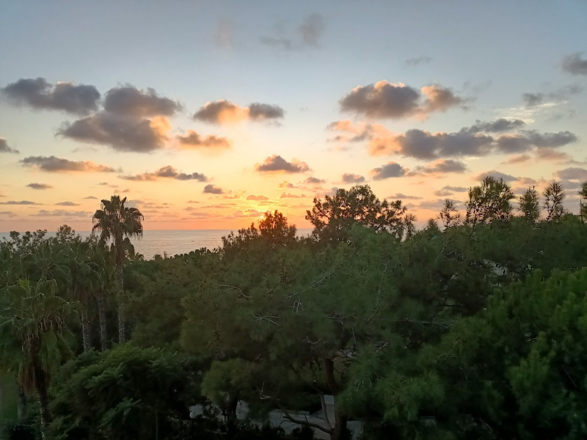 Turquoise Resort Hotel & SPA Türkiye, Sorgun, 07600 Manavgat/Antalya, Turecko – Fotoğraf 8