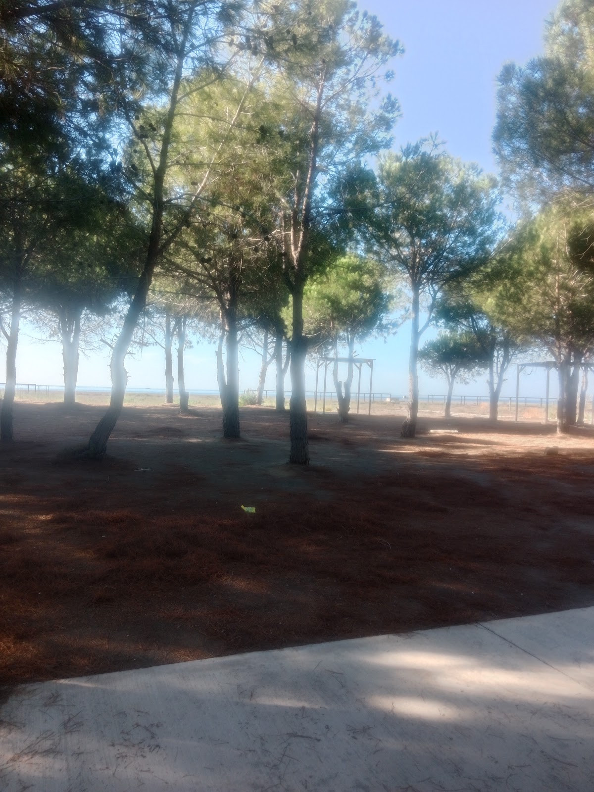 Ulualan MANAVGAT ÜCRETSİZ HALK PLAJI VE MESİRE ALANI – Fotoğraf 7