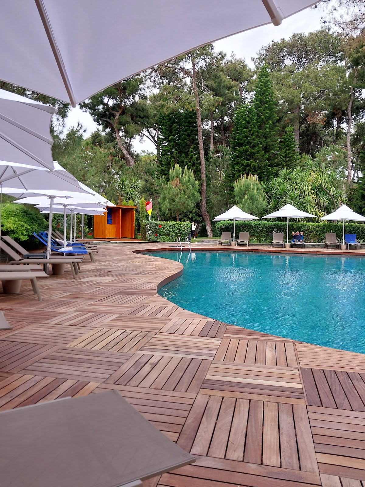 Voyage Vista Restaurant – Fotoğraf 4