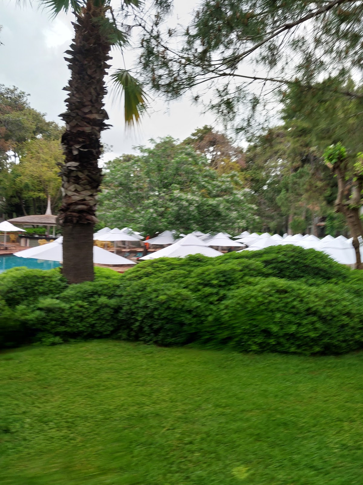 Voyage Vista Restaurant – Fotoğraf 10