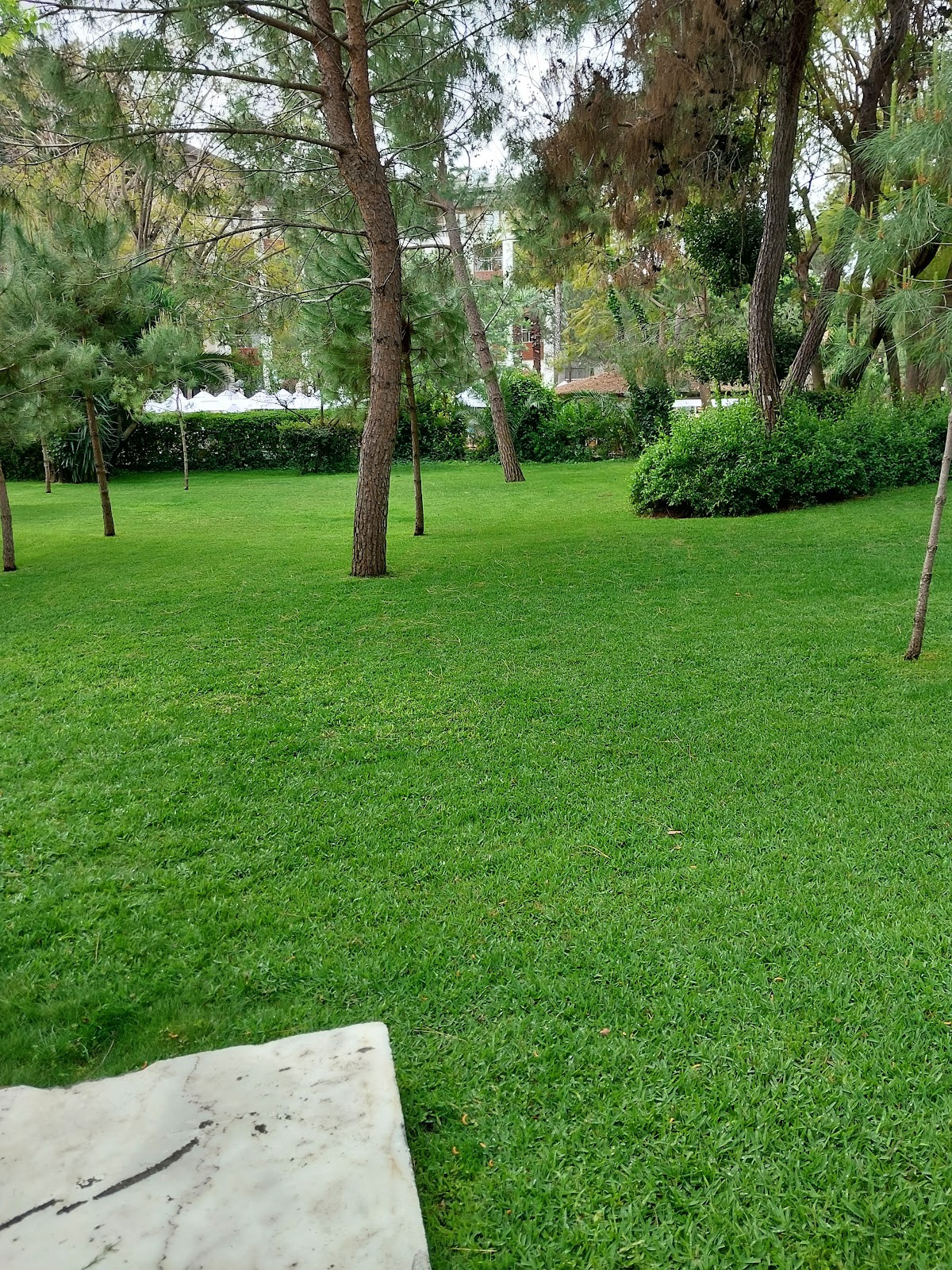 Voyage Vista Restaurant – Fotoğraf 7