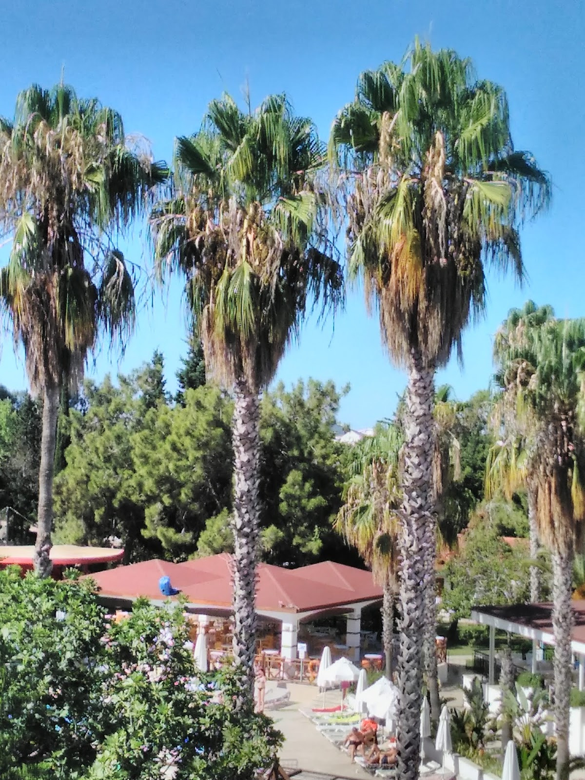 WB Travel Serra Park Hotel – Fotoğraf 6