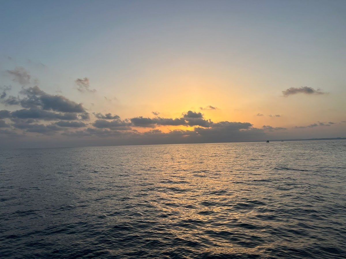 Windmill Airport Transfers – Fotoğraf 7