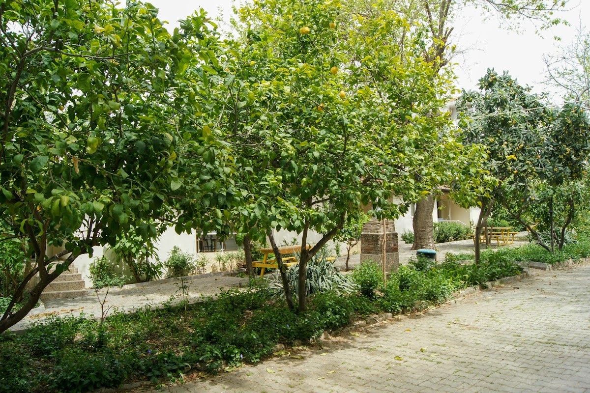 Yıldız Pansiyon Apart Otel Side – Fotoğraf 5