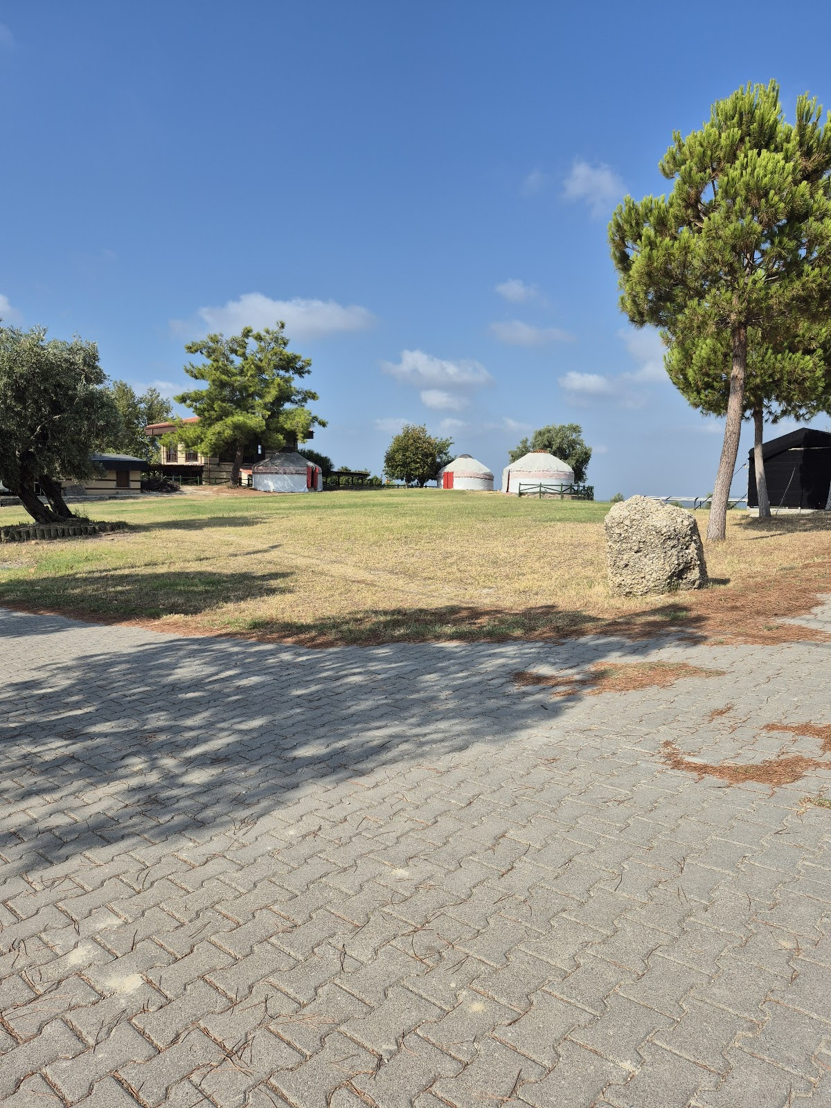 Yörükler Obası At Çiftliği-Restoran-Kamp – Fotoğraf 5