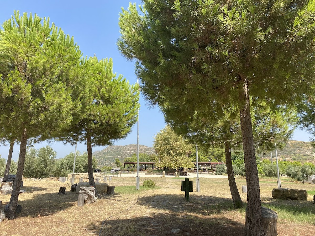 Yörükler Obası At Çiftliği-Restoran-Kamp – Fotoğraf 10