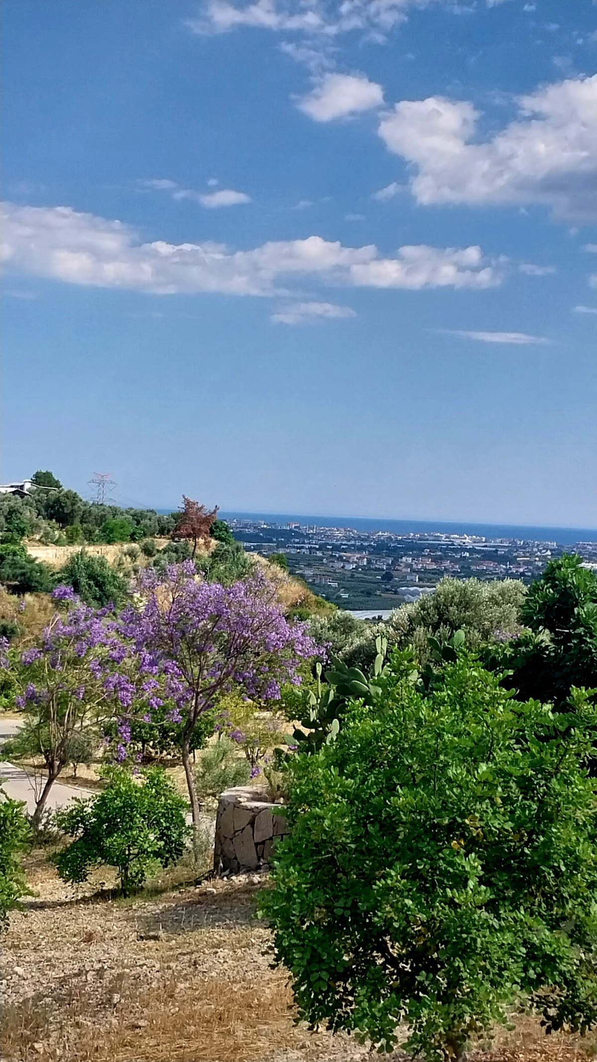 Yörükler Obası At Çiftliği-Restoran-Kamp – Fotoğraf 6