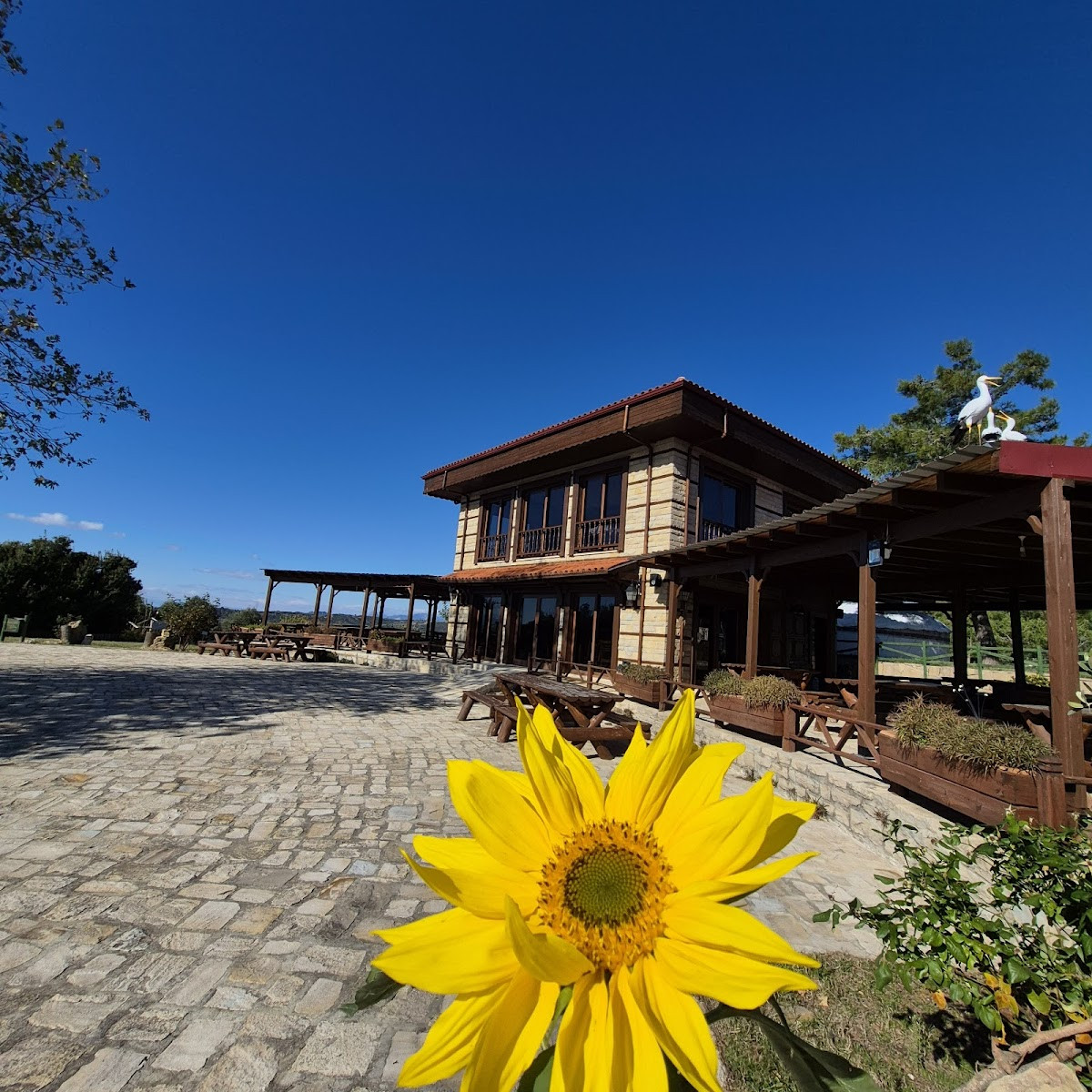 Yörükler Obası At Çiftliği-Restoran-Kamp – Fotoğraf 4