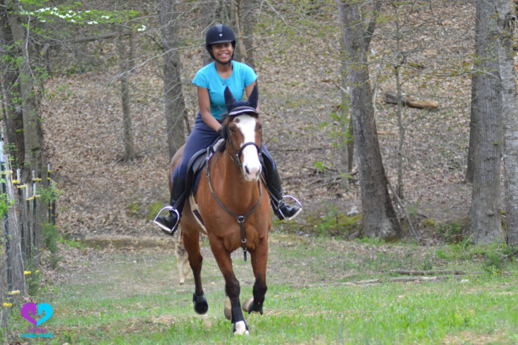 Well-trained calm horse at a local riding stable in the Side and Manavgat area
