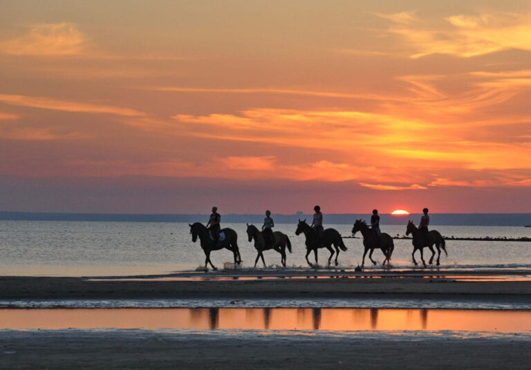 Guide leading a horse along the sandy beach in Side during a riding tour