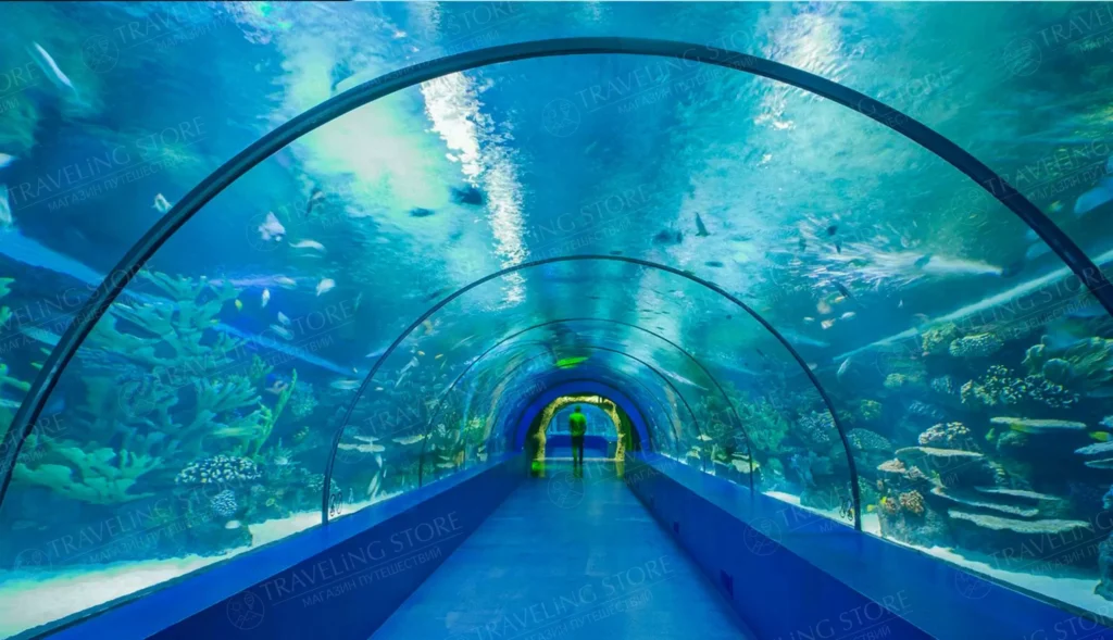 Antalya Aquarium Tour from Side: Ticket, City Tour & Waterfall – Antalya Aquarium, Düden Waterfall & Kaleiçi
