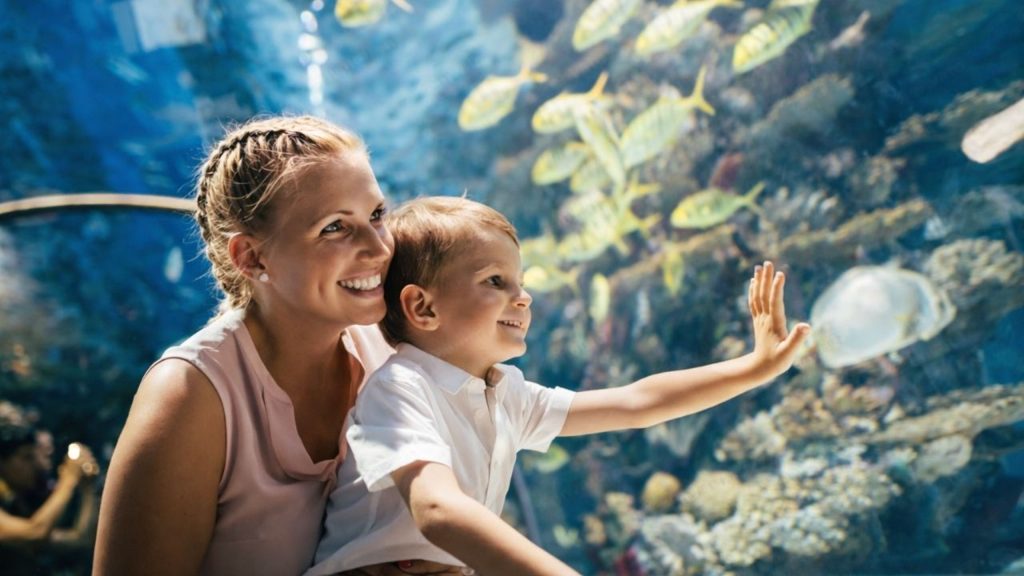 Family with children looking at tropical fish exhibits in Antalya Aquarium