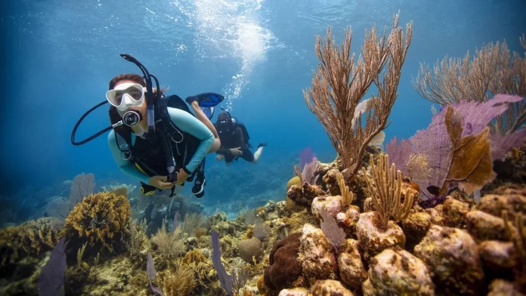 Two-tank scuba diving boat tour from Side hotels with PADI certification and lunch included