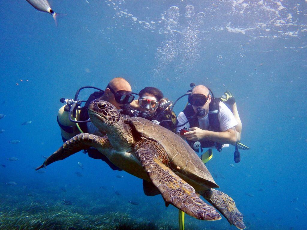 Side Scuba Diving Underwater Museum Tour – Side Underwater Museum, Manavgat