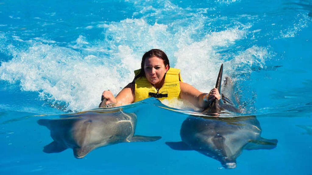Marine trainer interacting with a bottlenose dolphin beside the show pool at Sealanya Dolphinpark near Türkler and Alanya, Antalya