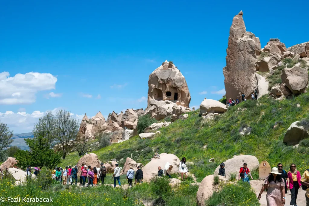 Famous mushroom-shaped fairy chimneys at Paşabağı Monks Valley in Cappadocia Turkey